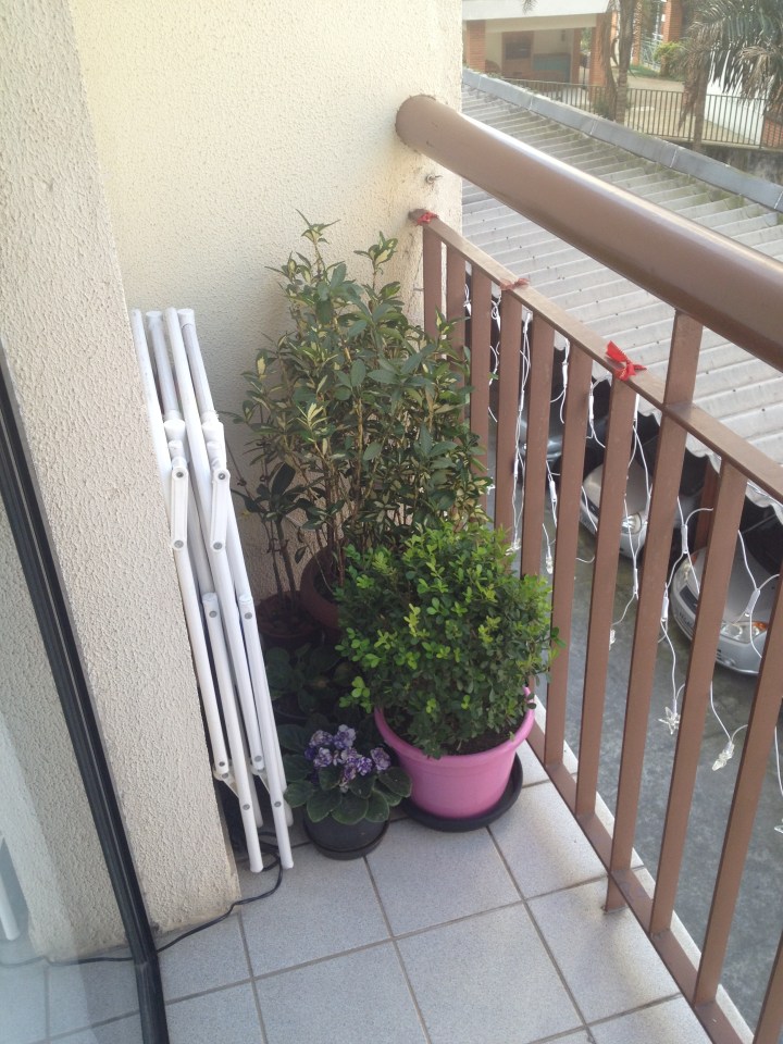 blog organizer reforma ape