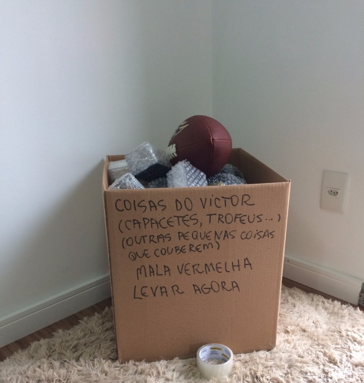 Blog Organizer Categorização