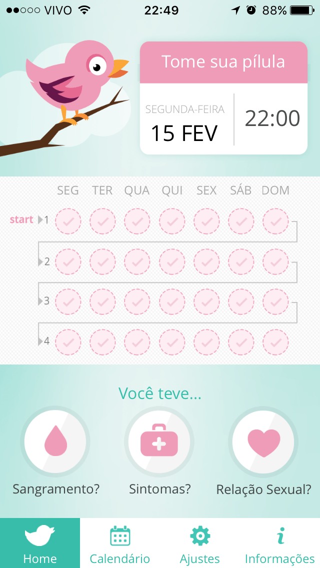 Controle de Medicamentos - Blog Organizer by Valéria Angelotti